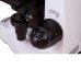 Цифровой микроскоп Levenhuk MED D20T LCD